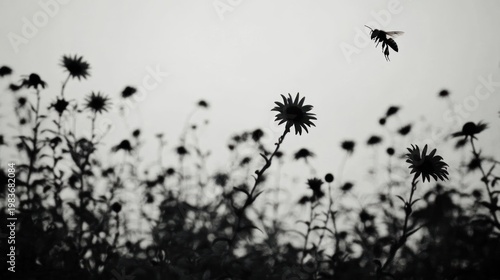 Bee flying over wildflowers, misty field background, nature photography, website banner