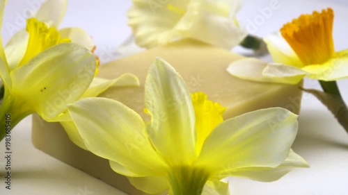 A bar of soap, fresh flowers daffodil are on a white background, cosmetics based on daffodils, side view