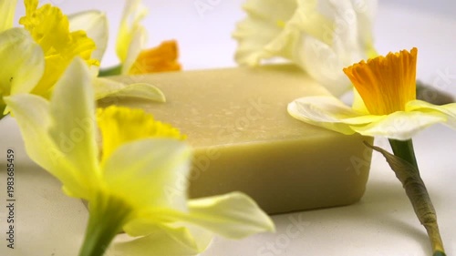A bar of soap, fresh flowers daffodil are on a white background, cosmetics based on daffodils, slow motion, side view