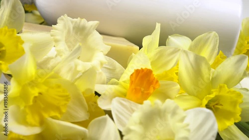 A bar of soap and a bottle of shower gel, fresh flowers daffodil are on a white background, cosmetics based on daffodils