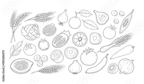 Hand drawn of various fruits vegetables and grains white food wheat