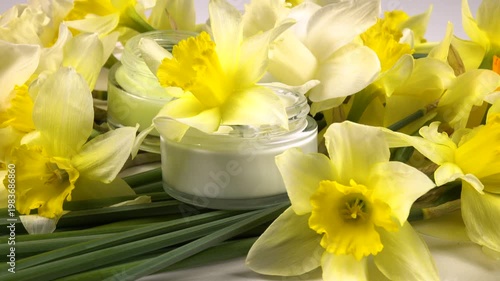 Jars with face cream, facial mask, fresh flowers daffodil are on a white background, cosmetics based on daffodils