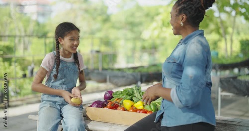Agricultural concept of 4k resolution. Mother and daughter throwing crops back and forth in the garden.