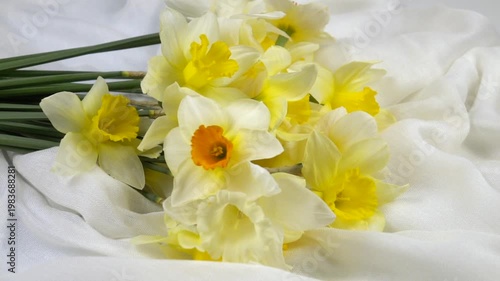 Bouquet of fresh yellow daffodils lie on a fabric of green shades, background, floral arrangement, slow motion