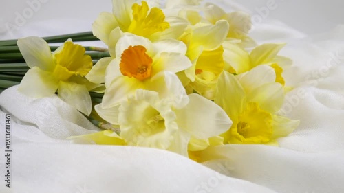 Bouquet of fresh yellow daffodils lie on a fabric of green shades, background, floral arrangement, slow motion