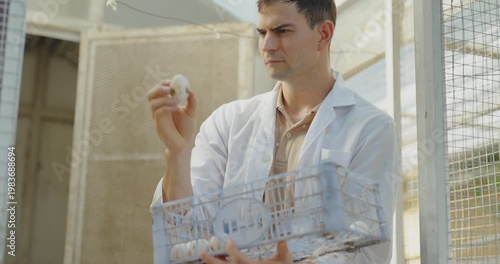 livestock farm concept of 4k resolution. Caucasian male veterinarian examining chicken eggs in a farm.