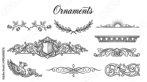 Collection of vintage hand-drawn decorative ornaments, floral swirls, baroque borders and heraldic griffin vector illustration set