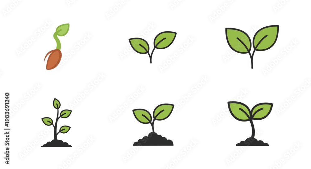 Obraz premium Set of plant growth stages icons showing seed germination and young seedling development
