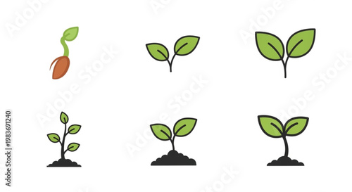 Set of plant growth stages icons showing seed germination and young seedling development
