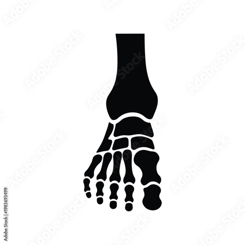 Foot bones icon for skeletal system detail