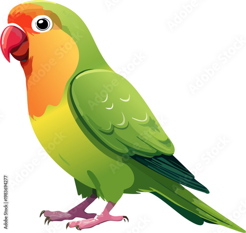 Realistic Lovebird Standing Full Body with Vibrant Green and Orange Feathers
