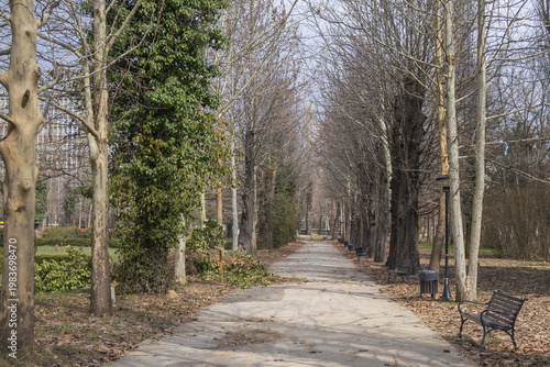 Wide perspective of a paved park walkway lined with tall deciduous trees and empty wooden benches on a sunny spring day