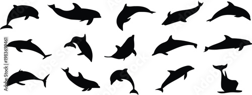 Black silhouette vector set of dolphin collection
