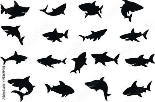 Set of black vector shark silhouettes in a simple underwater animal design collection