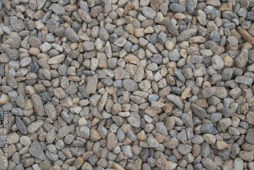 Top down view of a dense bed of smooth multi colored river pebbles and small gravel stones