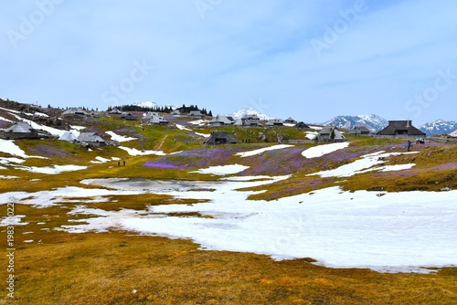 View of snow covered mountain pasture at Velika Planina in spring in Slovenia