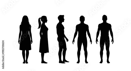 Diverse Human Silhouettes: Female and Male Poses Showcasing Different Views