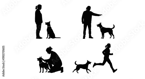 People Interacting With Dogs: Training, Playing, and Running Together