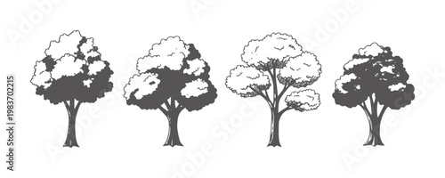 Four diverse stylized trees with textured foliage and trunks nature