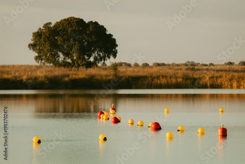 sunset in the lake