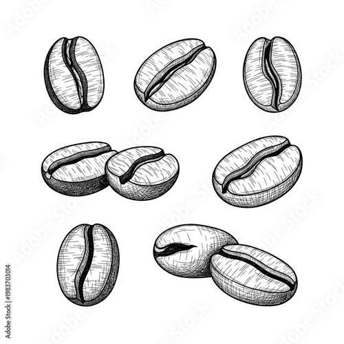 Detailed illustration of coffee beans in a monochrome style, perfect for design.