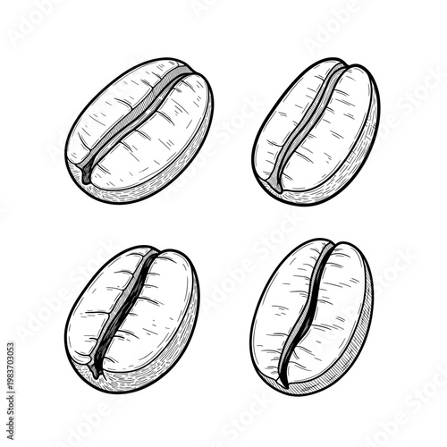 Detailed illustration of four coffee beans, perfect for design.