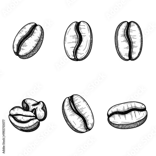 Detailed monochrome illustration of coffee beans, perfect for design projects.