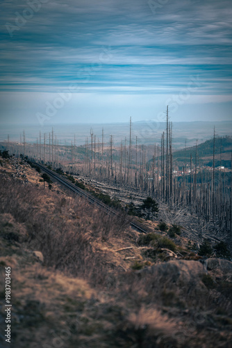 Blick auf die Gleise der Brockenbahn im Harz bei Waldsterben und weitem Landschaftspanorama