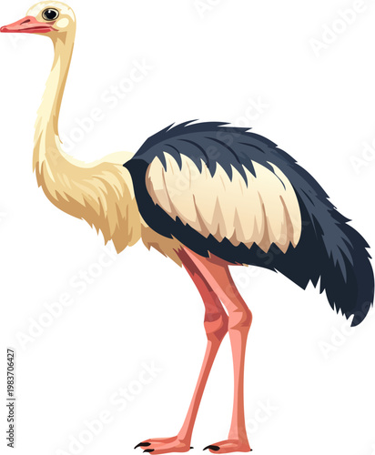 Large Ostrich Standing with Detailed Feathers and Powerful Long Legs