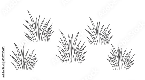 Five clusters of dark grey sketched grass blades white green nature field