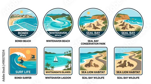 Australian beaches and wildlife illustrations on display