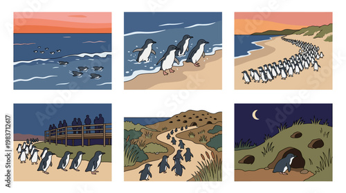 Penguins waddling on beach and in water in various natural environments freely