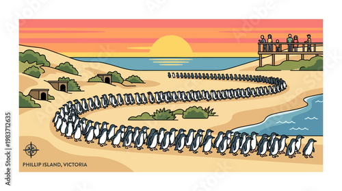 Penguins walking in a line on Phillip Island beach at sunset