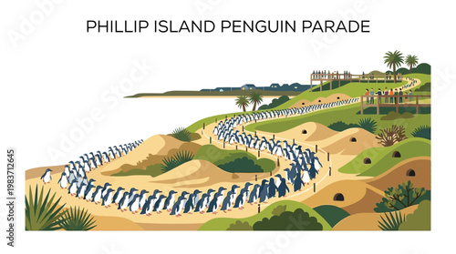 Phillip Island Penguin Parade with People Watching on the Hillside