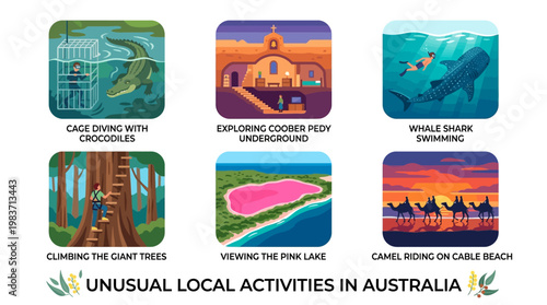 Unusual local activities in Australia include cage diving with crocodiles and whale shark swimming