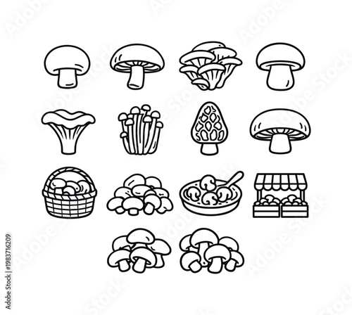 Edible Mushrooms. Line icon set of Edible Mushrooms: button mushroom, shiitake mushroom, oyster mushroom, porcini mushroom, chanterelle mushroom, enoki