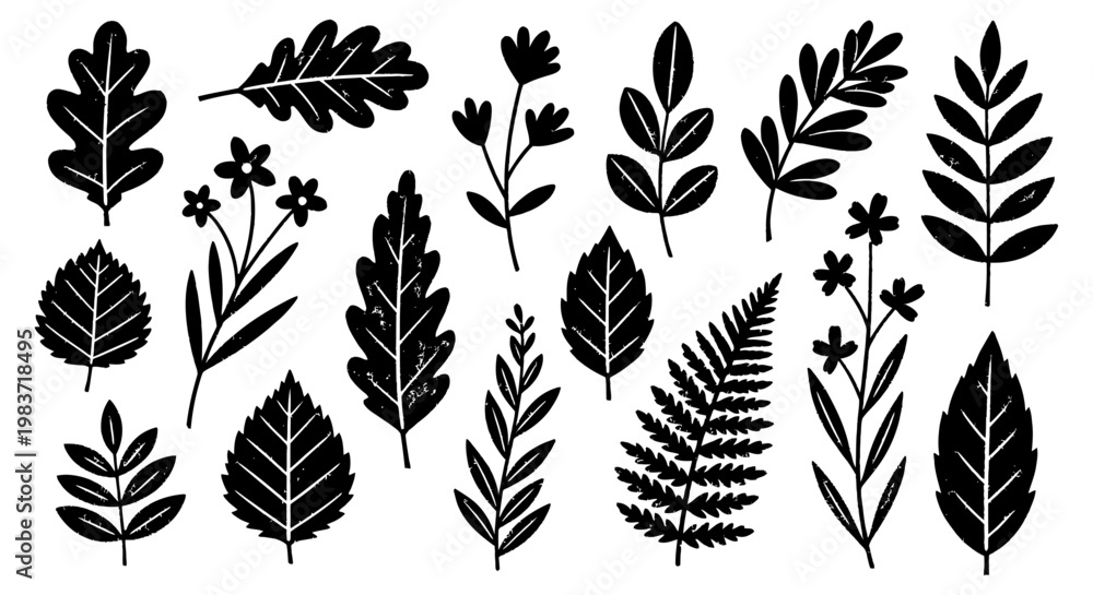 Fototapeta premium botanical illustrations featuring a hand-drawn black and white collection of various leaves and nature elements on a clean background perfect for graphic design