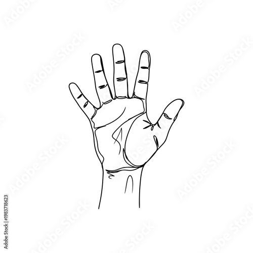 minimalist single line drawing of an open human hand featuring continuous line art and abstract palmistry lines ideal for modern design
