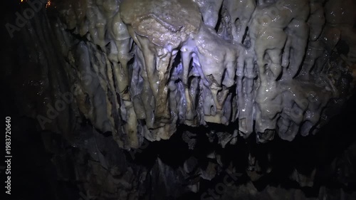 Close up macro shows moss growing on moist limestone layers along damp cave wall surface. Fine textures reveal wet rock details natural mineral structure and organic growth in dark underground space.