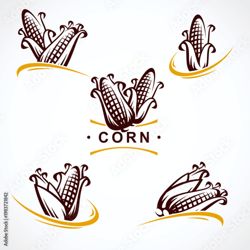 Corn label and element set. Collection icon corn. Vector