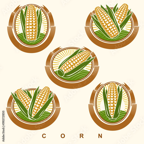 Corn label and element set. Collection icon corn. Vector