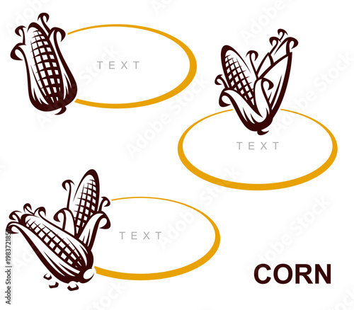 Corn label and element set. Collection icon corn. Vector