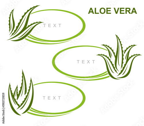 Aloe Vera labels and elements set. Collection icon Aloe Vera. Vector