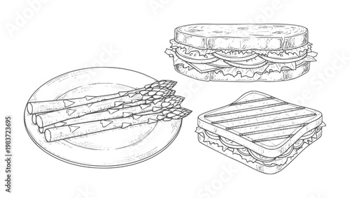 Hand drawn asparagus plate and two sandwiches food healthy