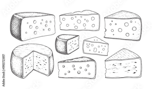 Hand drawn of various cheese wedges and wheels with holes food dairy vintage product