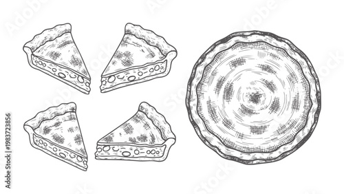Hand drawn pizza slices and whole pizza white food italian cuisine