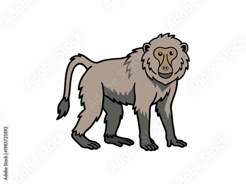 Baboon monkey walking vector illustration in flat style with black outline