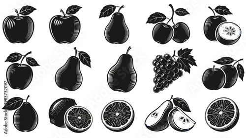 Monochromatic Fruit Collection - Apples, Pears, Grapes, and Citrus Silhouettes.
