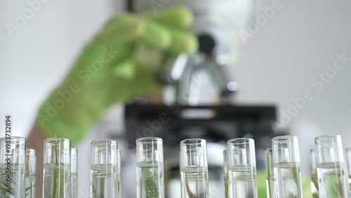 Fotografie Close up of test tubes with a scientist analyzing plant samples in test tubes with a microscope, conducting research in a laboratory