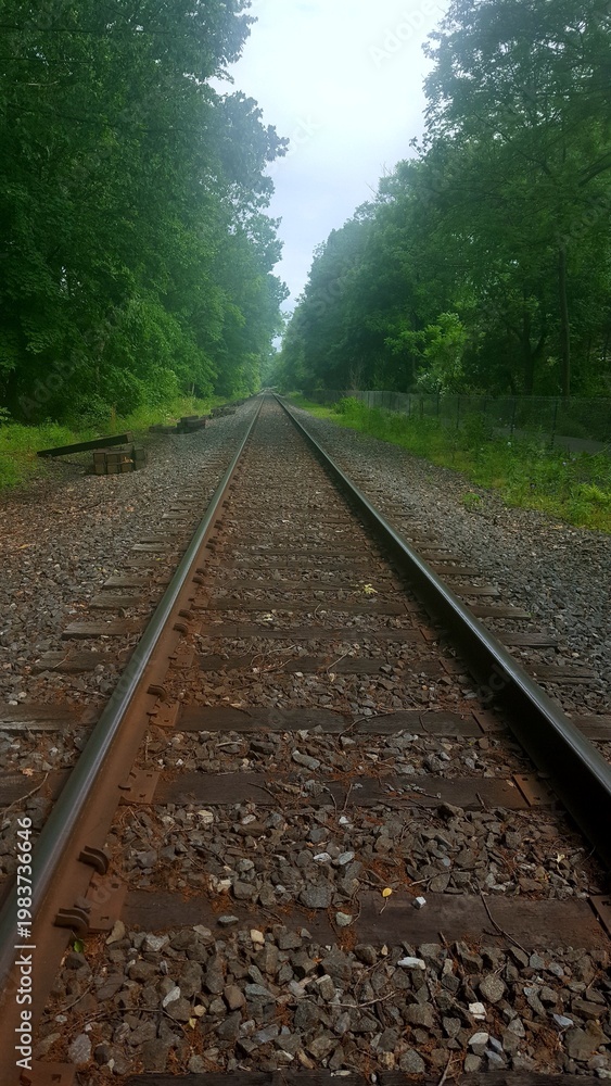 Fototapeta premium railroad tracks in the morning